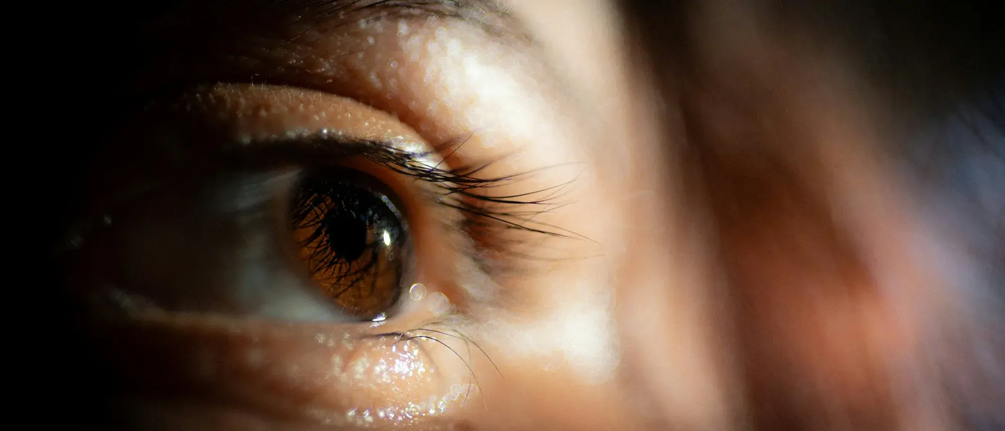 Close-up of an eye